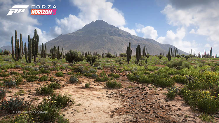 fh5 desert cactus scenery graphics